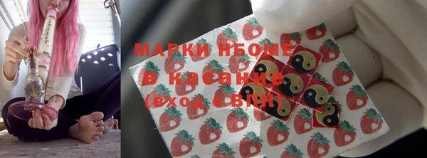 стафф Инта