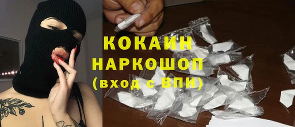 стафф Инта