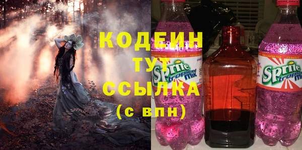 мяу мяу мука Иннополис