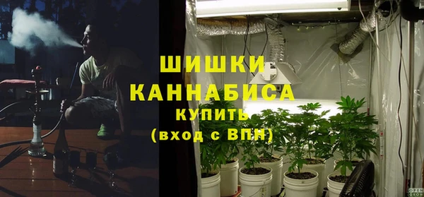 мяу мяу мука Иннополис