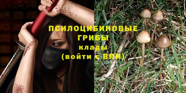 мяу мяу мука Иннополис