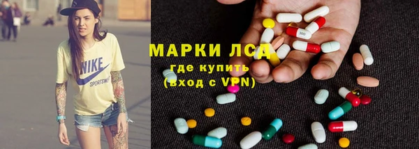 мяу мяу мука Иннополис